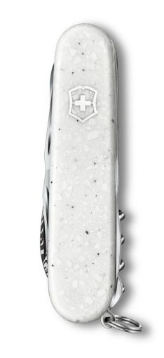 Special Companion Damast Limited Edition 2025